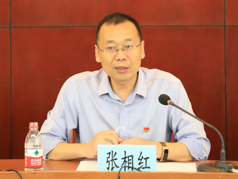 ����������Ƭ