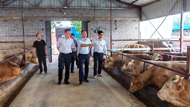 2025072210331193642_small k豆钱包官方网站 - kdpay钱包