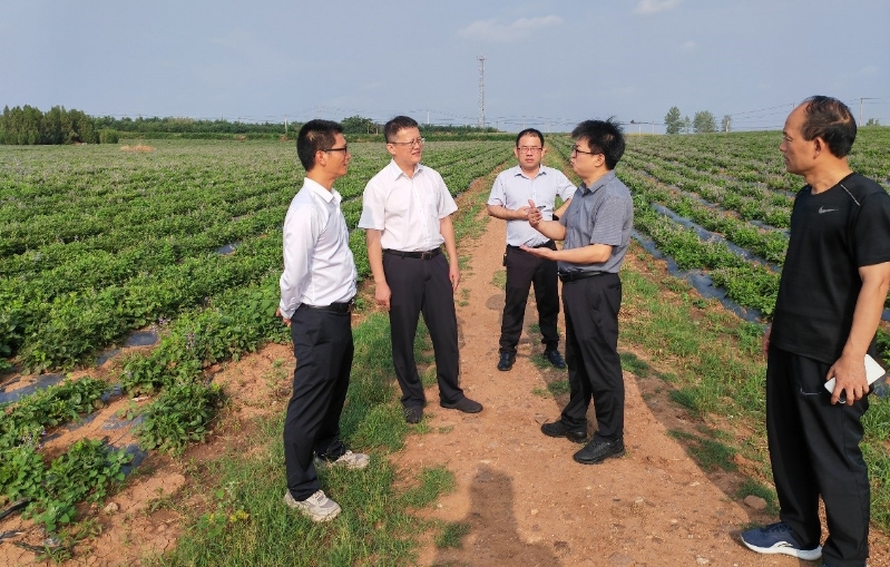 2025072210331233834_small k豆钱包官方网站 - kdpay钱包