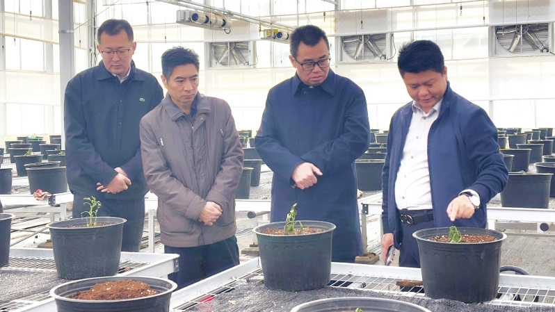 2025112515160469503_small k豆钱包官方网站 - kdpay钱包