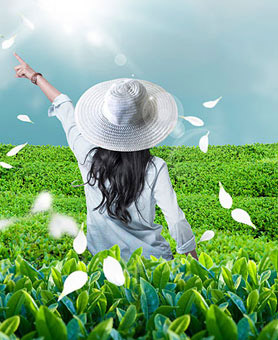 k��Ǯ���ٷ���վ - kdpayǮ��